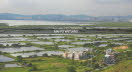 Mai Po Wetland