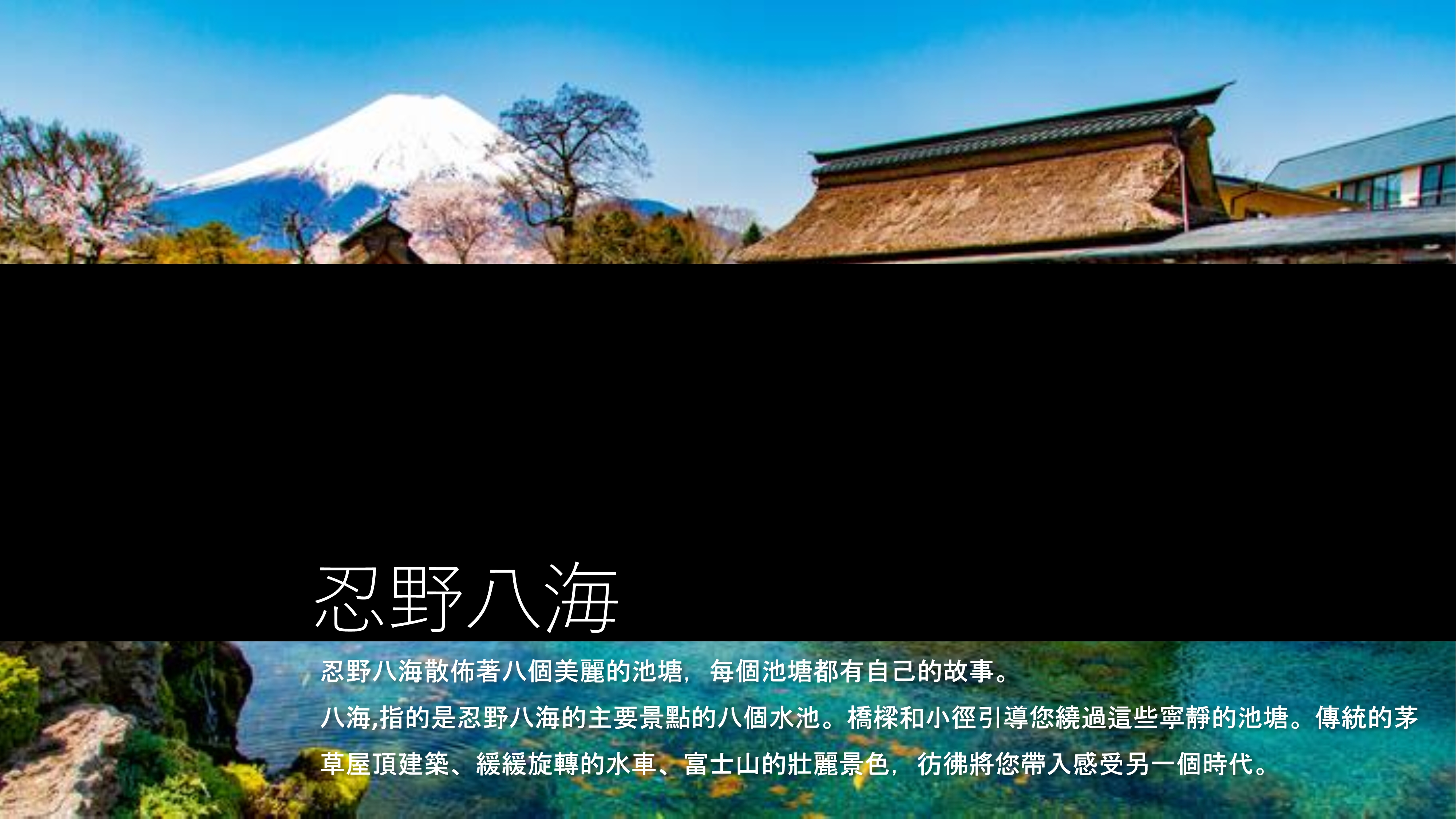 7d6nJapanTYOOSA11