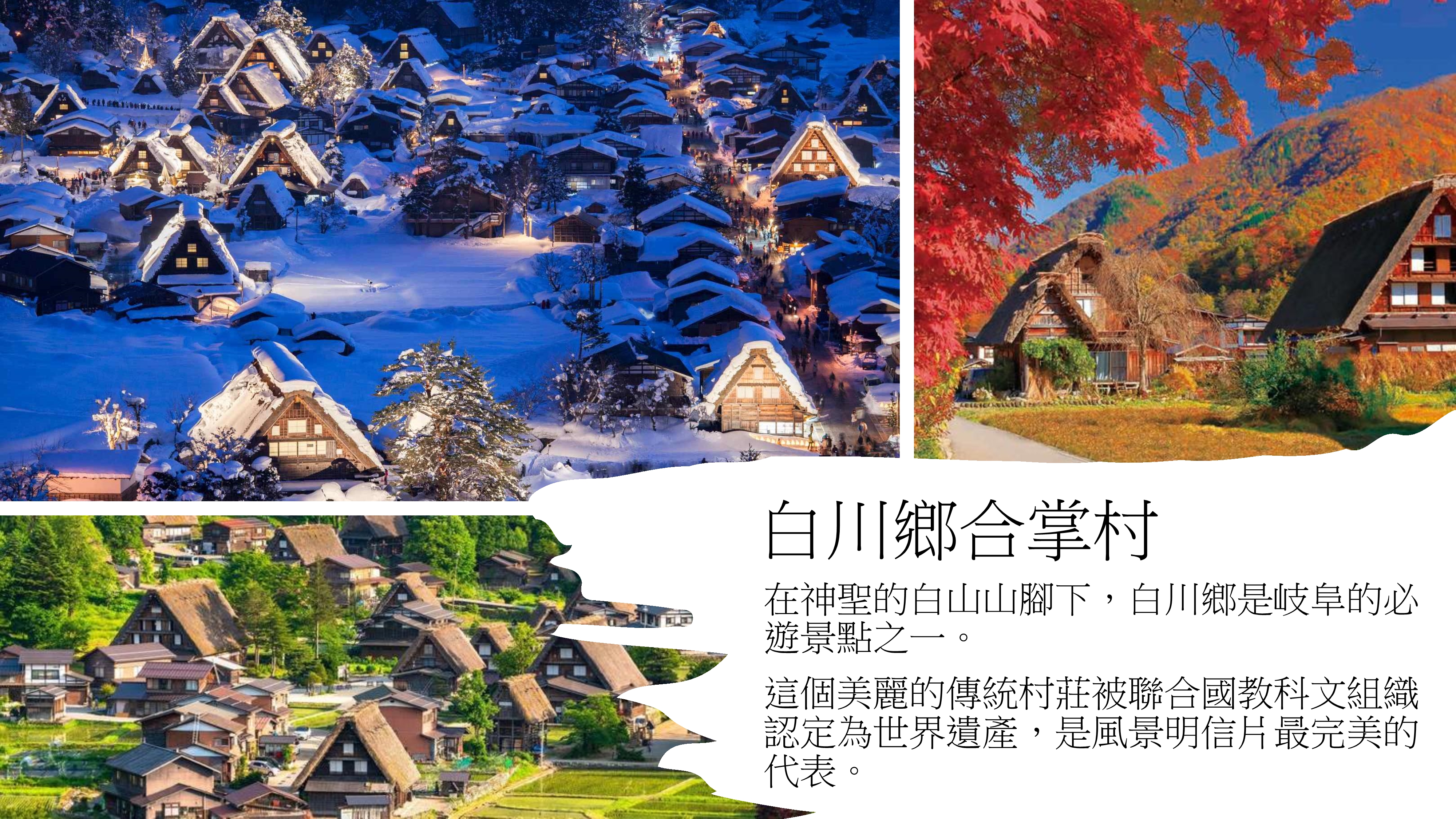 7d6nJapanTYOOSA19
