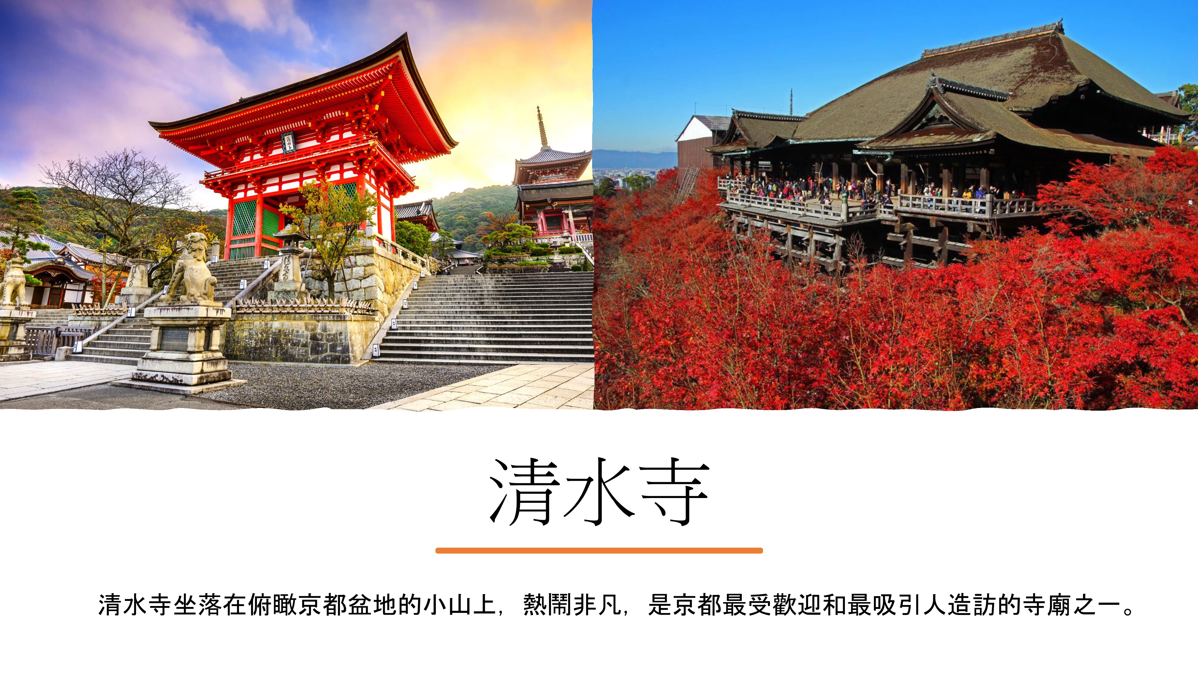 7d6nJapanTYOOSA21