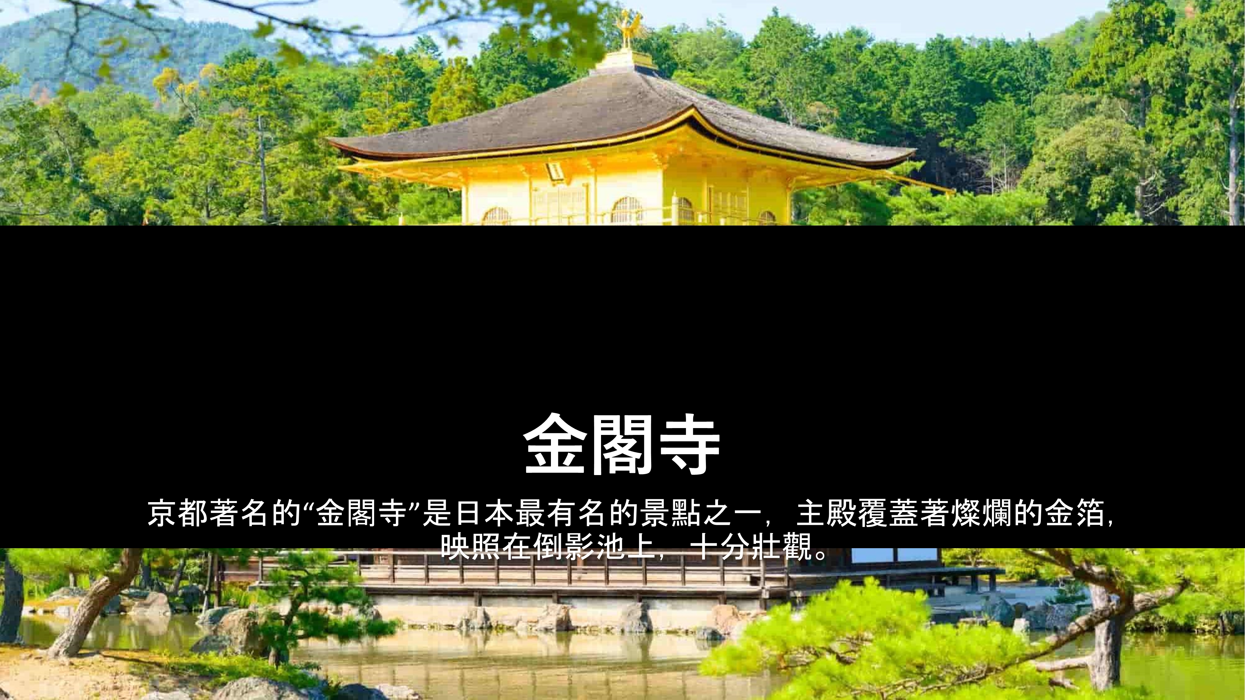 7d6nJapanTYOOSA22