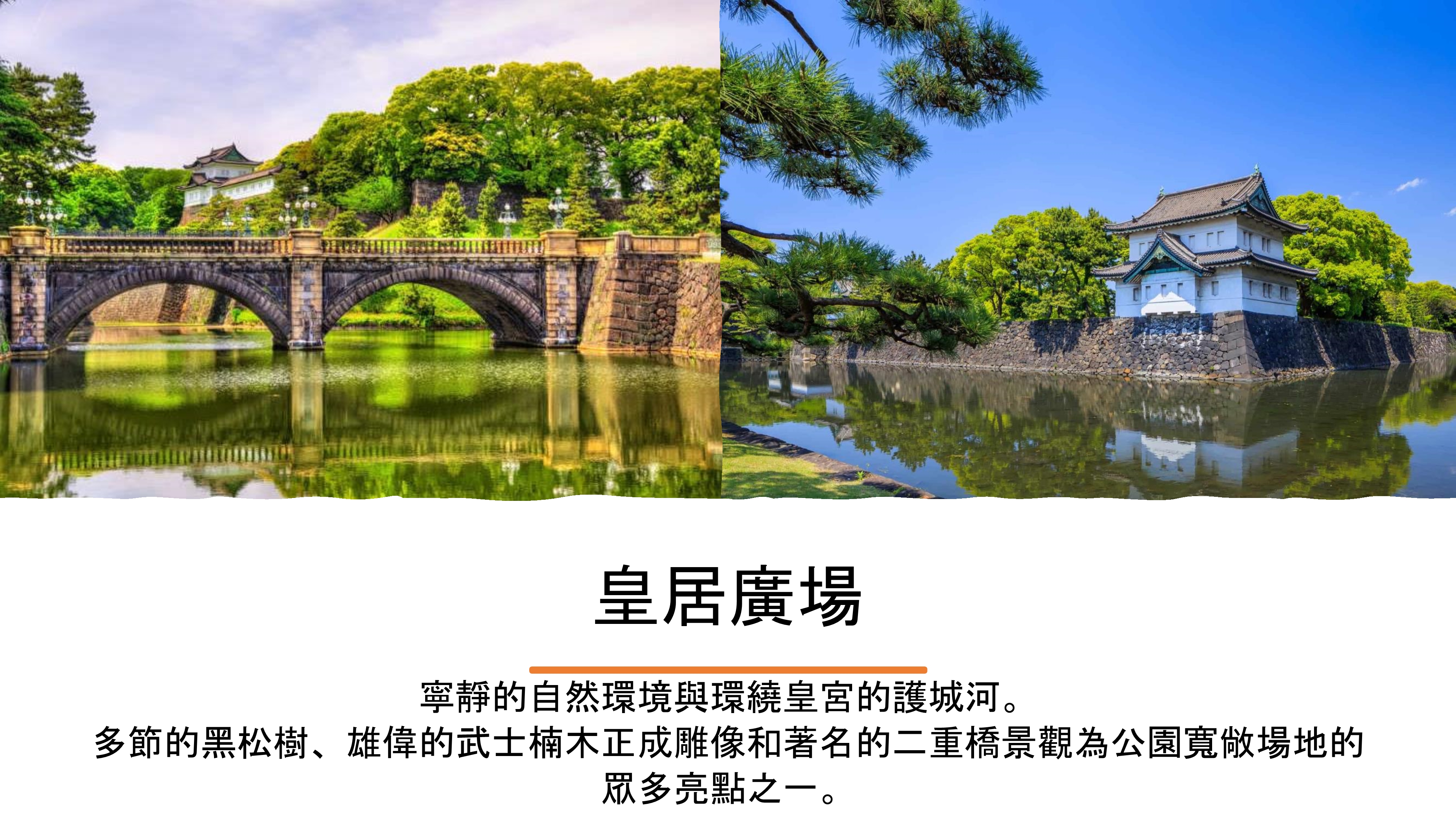 7d6nJapanTYOOSA4