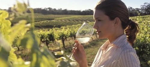 adelaidewinelogo