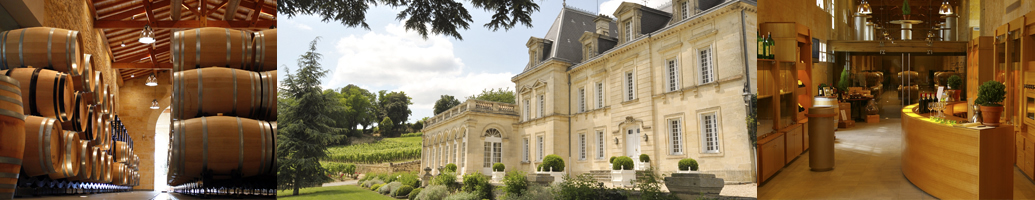 chateau fonplegade