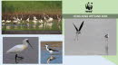 HK Wetland Park