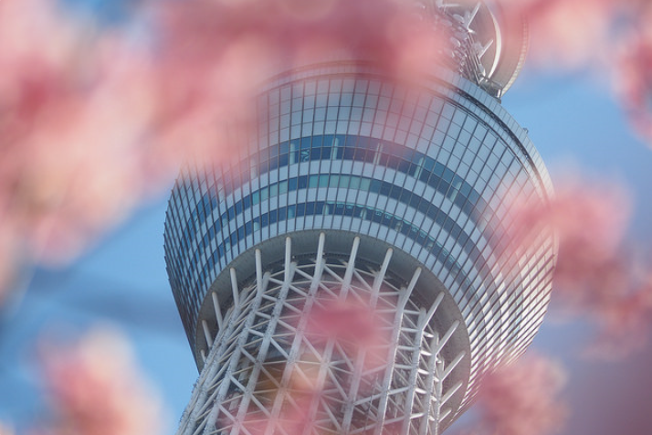 tokyokotower1
