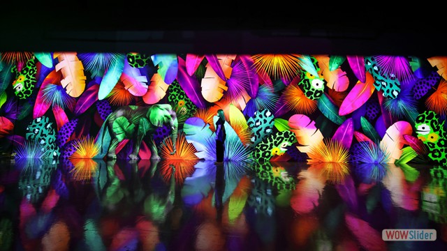 JUNGLE TROPIC