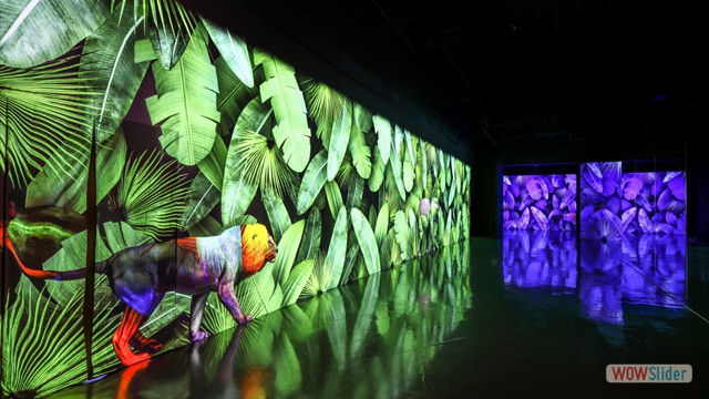 JUNGLE TROPIC