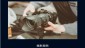 italyphotograher