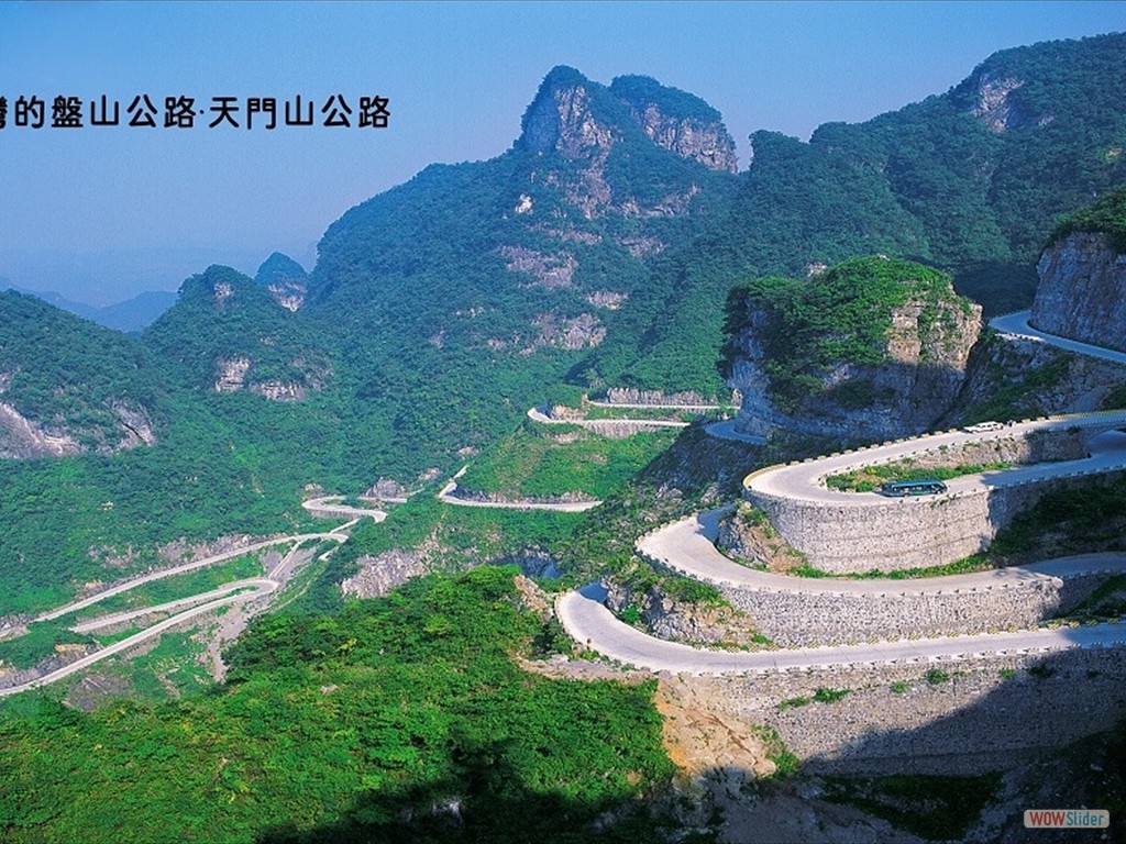 zhangjj16