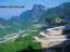 zhangjj16