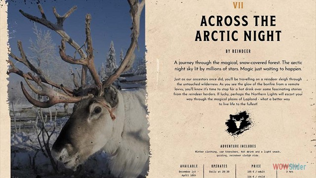 Across the Arctic Night