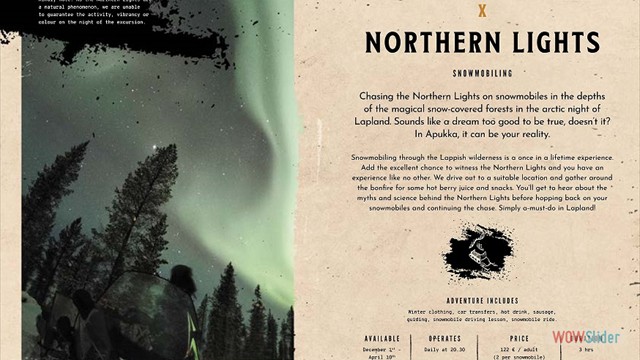 Northern Lights