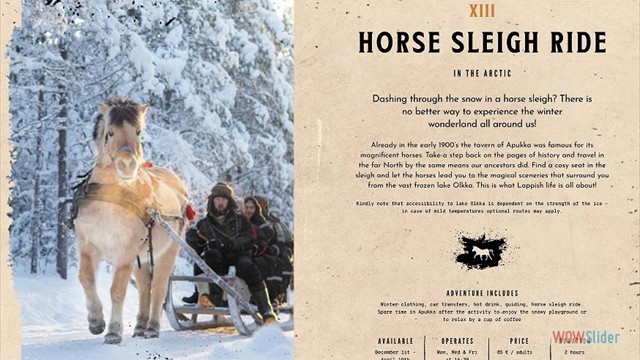 Horse Sleigh Ride