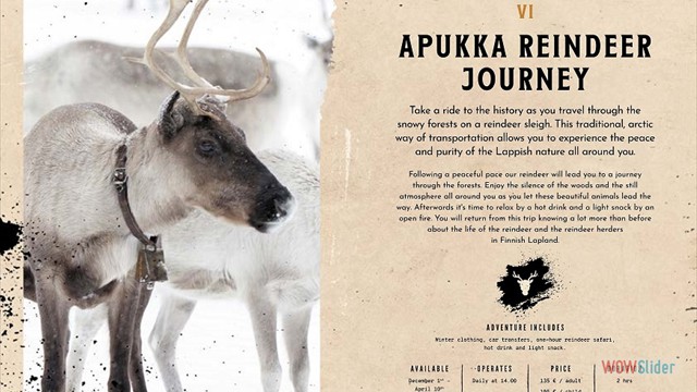 Reindeer Journey
