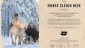 Horse Sleigh Ride